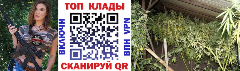 Купить наркотик аптеки Ростов Канабис  Галлюциногенные грибы  Гашиш  СК 