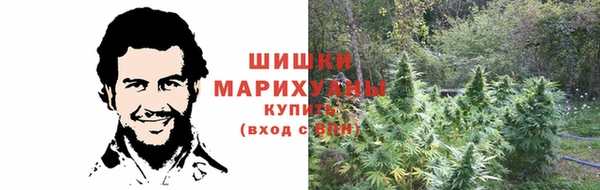 скорость Новозыбков