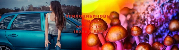 скорость Новозыбков