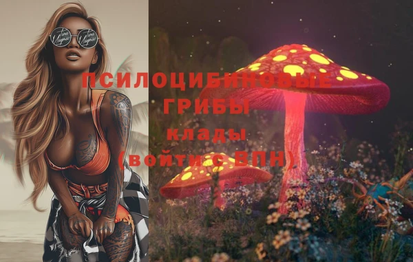 скорость Новозыбков