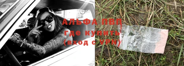скорость Новозыбков