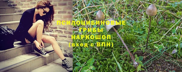 скорость Новозыбков