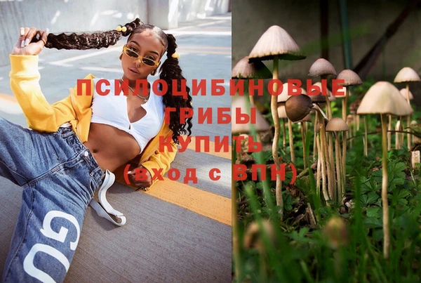 мескалин Новодвинск